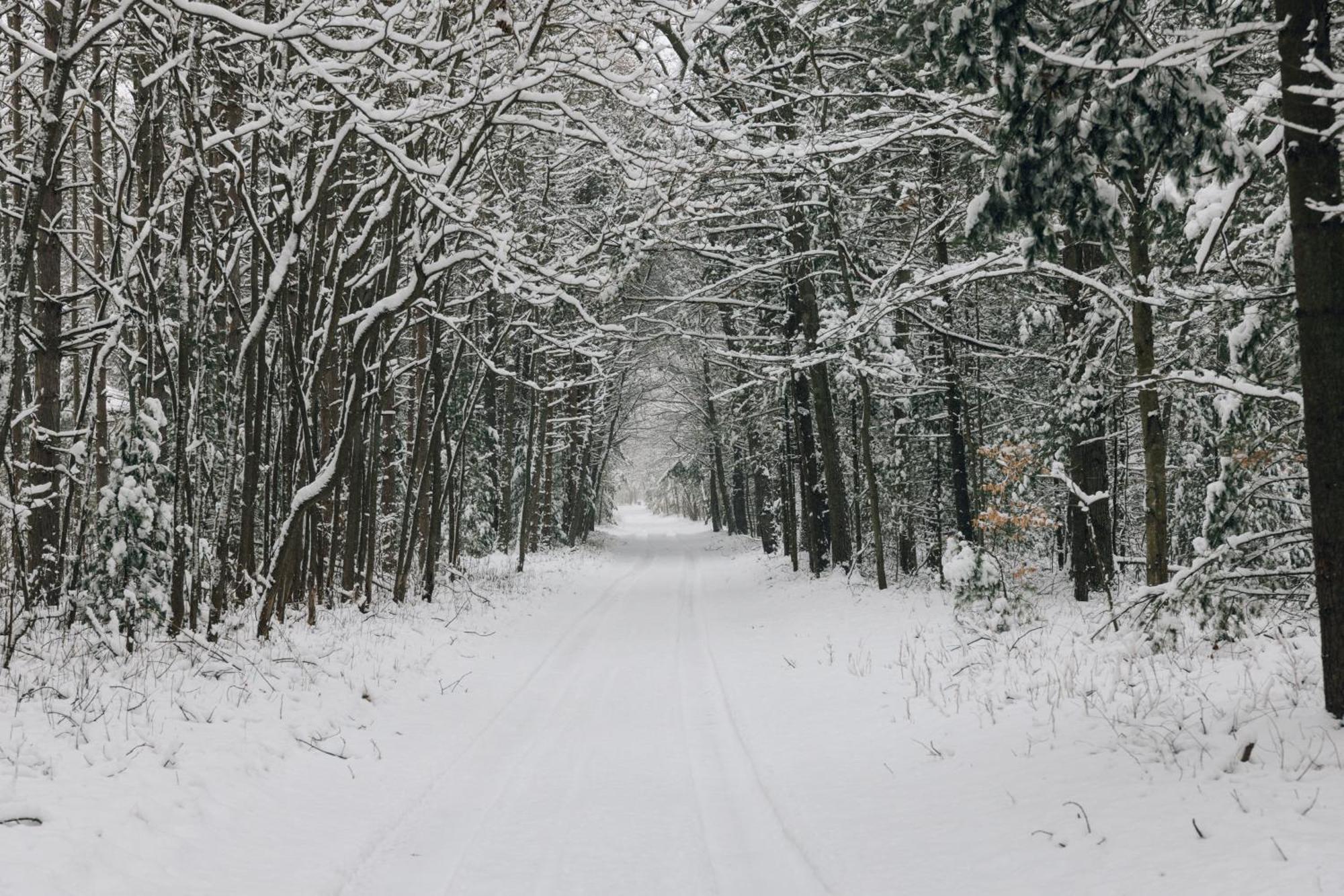 Scenic Drive Resort Muskegon Bagian luar foto
